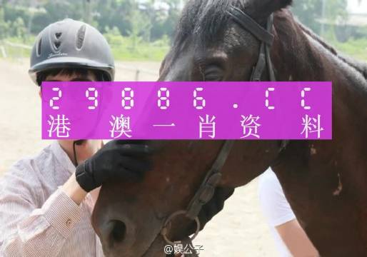 澳门今晚必中一肖一码，绝对经典解释落实_铂金版72.0.9