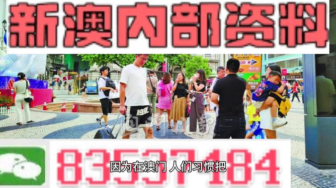 新澳2024年精准资料32期，效率资料解释落实_试用版46.84.77