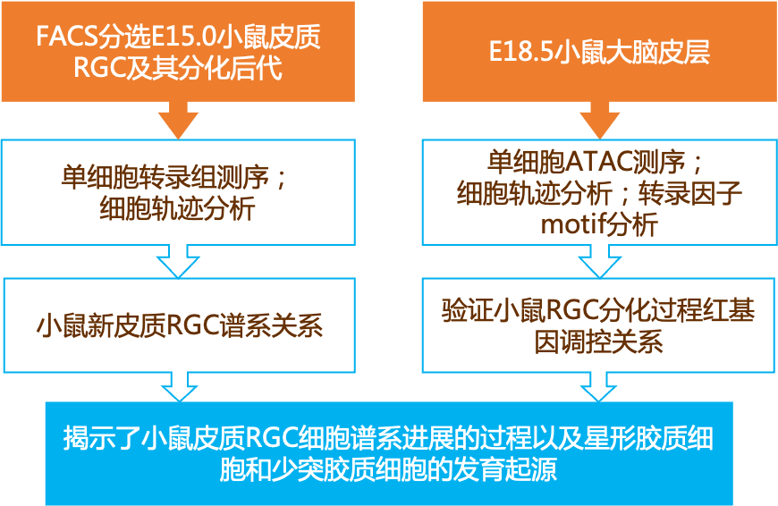 2024新奥资料免费精准071，科学分析解释落实_基础版90.82.42