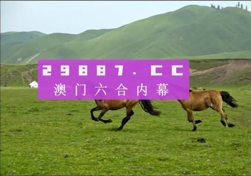 新闻 第11页