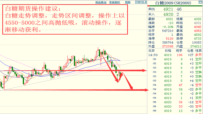 2024今晚香港开特马开什么,细微解答解释落实_实现版49.14.28